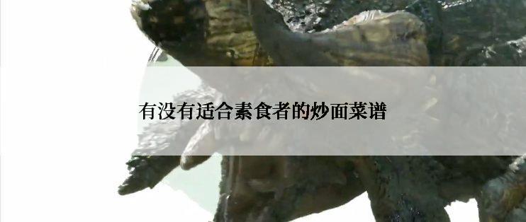 有没有适合素食者的炒面菜谱