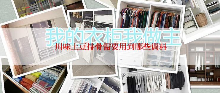  川味土豆排骨需要用到哪些调料