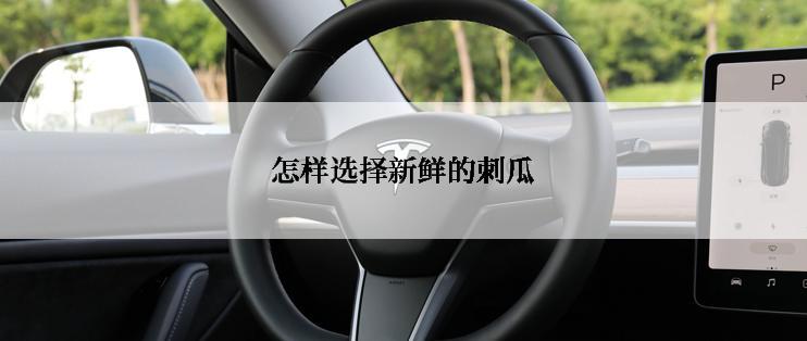 怎样选择新鲜的刺瓜