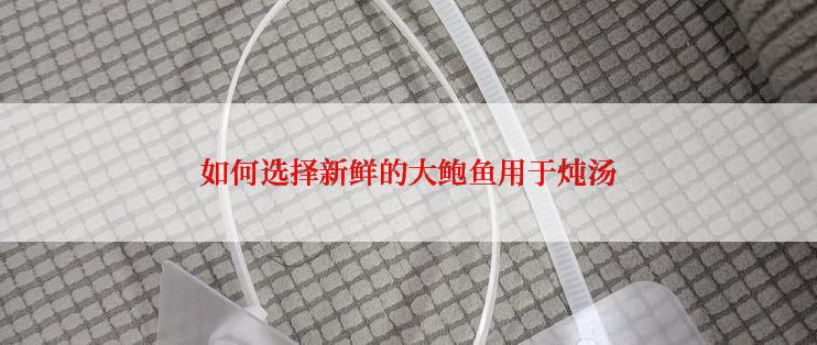 如何选择新鲜的大鲍鱼用于炖汤