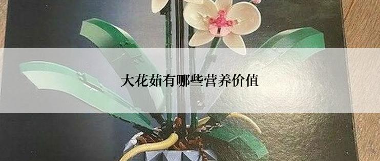大花茹有哪些营养价值