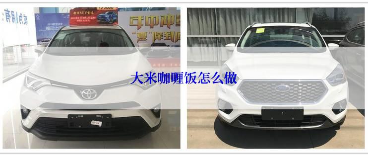 大米咖喱饭怎么做