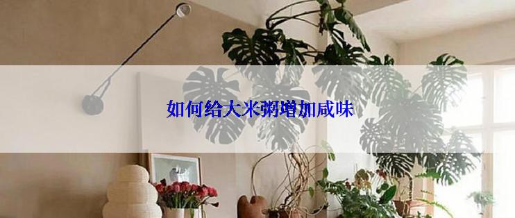  如何给大米粥增加咸味