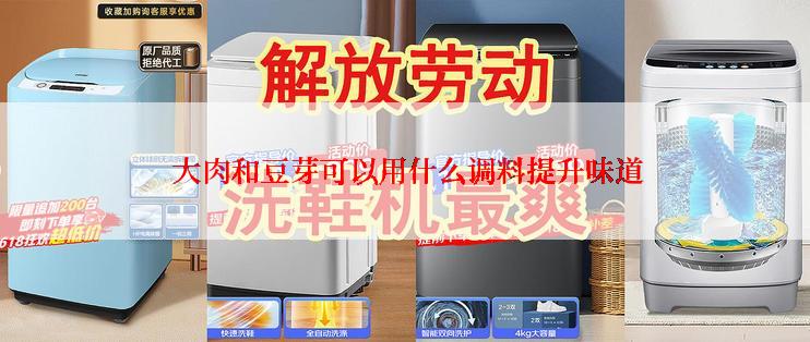  大肉和豆芽可以用什么调料提升味道