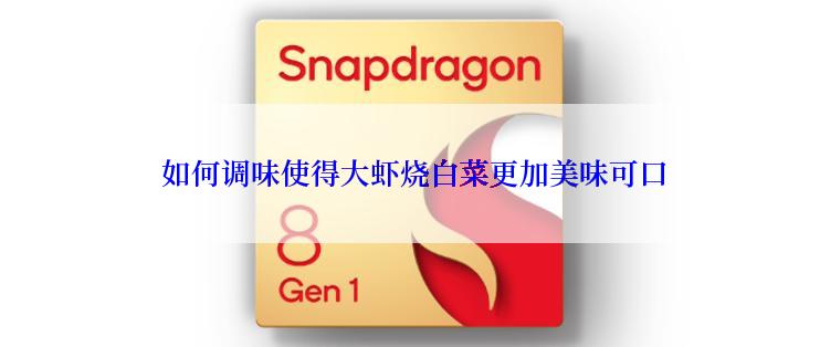  如何调味使得大虾烧白菜更加美味可口