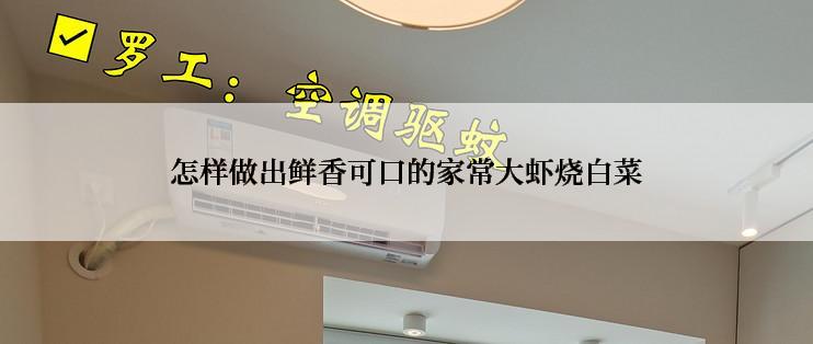 怎样做出鲜香可口的家常大虾烧白菜