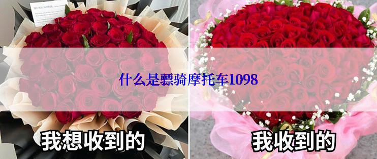 什么是骠骑摩托车1098