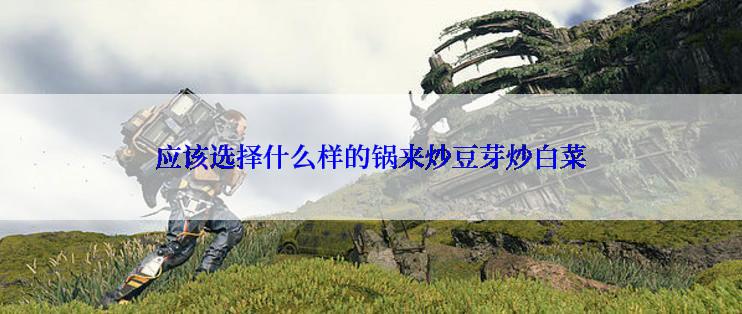 应该选择什么样的锅来炒豆芽炒白菜