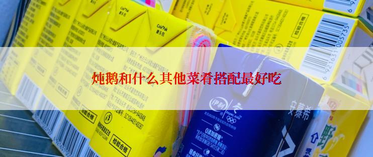 炖鹅和什么其他菜肴搭配最好吃