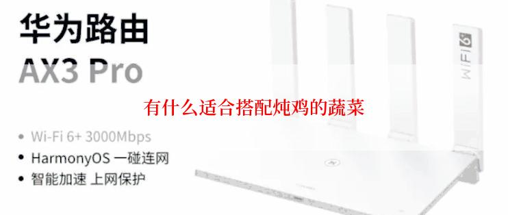 有什么适合搭配炖鸡的蔬菜