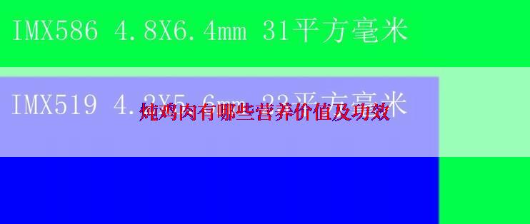 炖鸡肉有哪些营养价值及功效