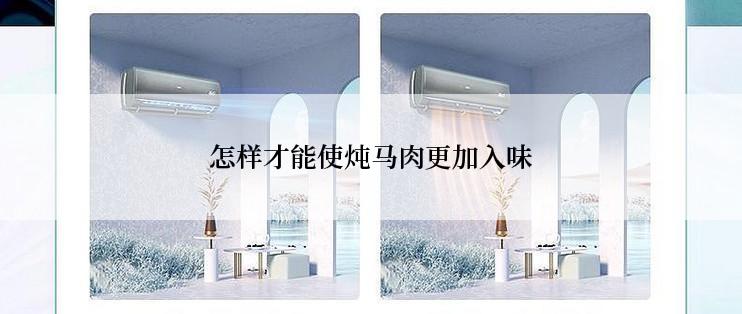 怎样才能使炖马肉更加入味