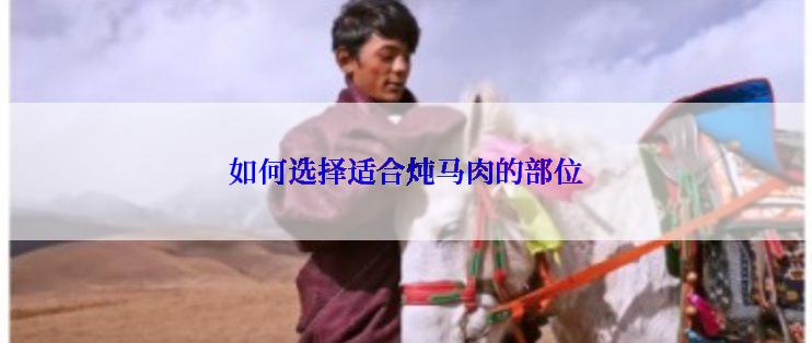 如何选择适合炖马肉的部位