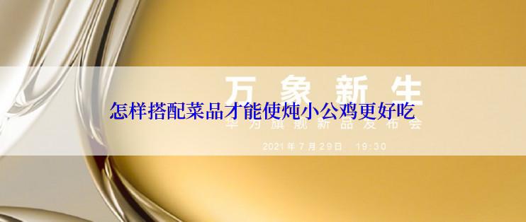 怎样搭配菜品才能使炖小公鸡更好吃