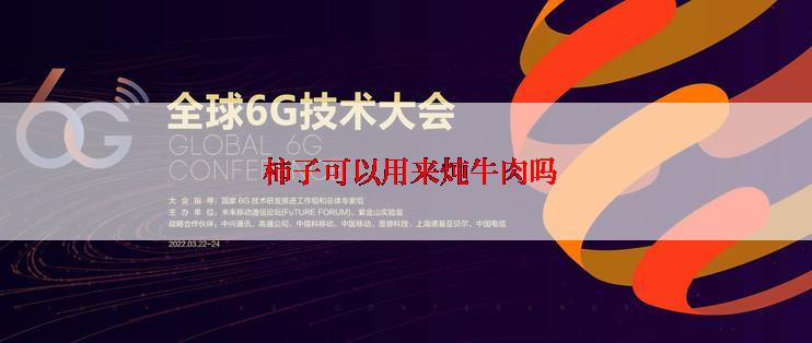  柿子可以用来炖牛肉吗
