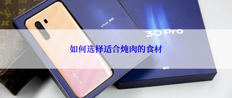 如何选择适合炖肉的食材