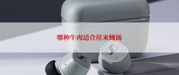 哪种牛肉适合用来炖汤