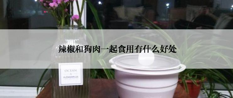  辣椒和狗肉一起食用有什么好处