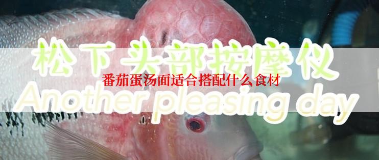  番茄蛋汤面适合搭配什么食材