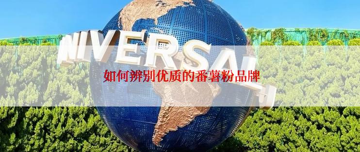  如何辨别优质的番薯粉品牌