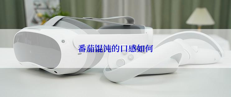 番茄馄饨的口感如何
