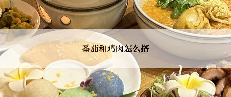番茄和鸡肉怎么搭