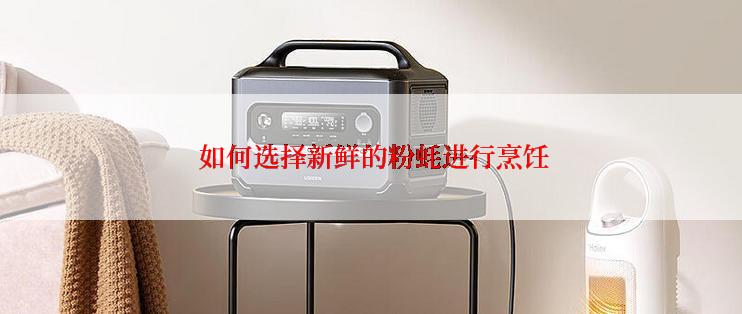  如何选择新鲜的粉蚝进行烹饪