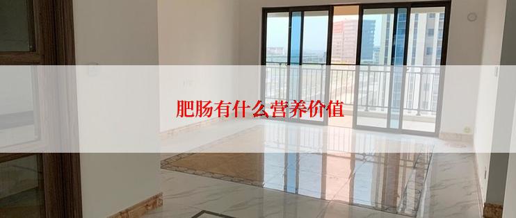  肥肠有什么营养价值