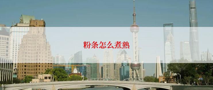 粉条怎么煮熟