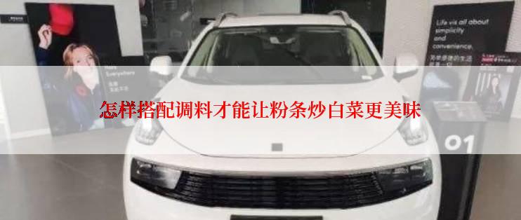 怎样搭配调料才能让粉条炒白菜更美味
