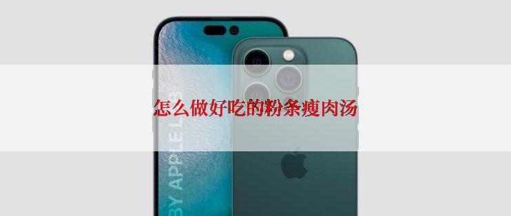怎么做好吃的粉条瘦肉汤