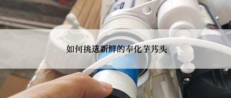  如何挑选新鲜的奉化芋艿头