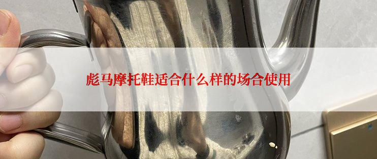彪马摩托鞋适合什么样的场合使用