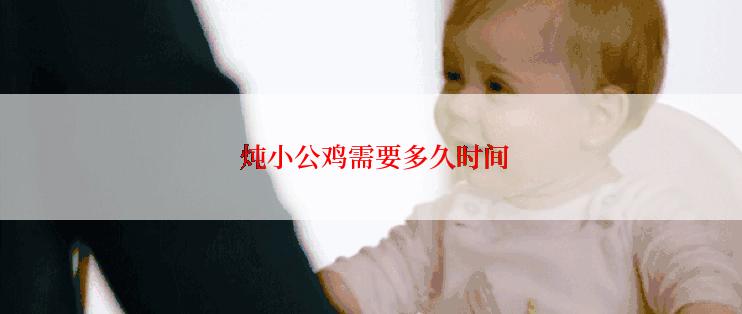  炖小公鸡需要多久时间