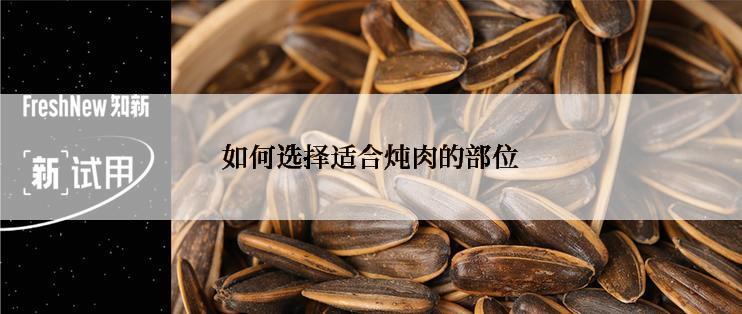 如何选择适合炖肉的部位