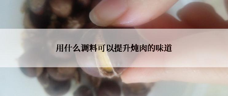 用什么调料可以提升炖肉的味道