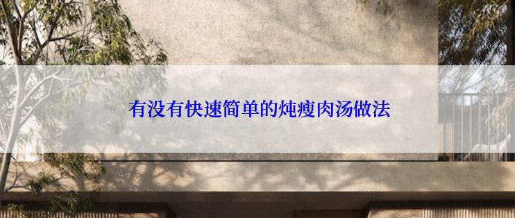  有没有快速简单的炖瘦肉汤做法