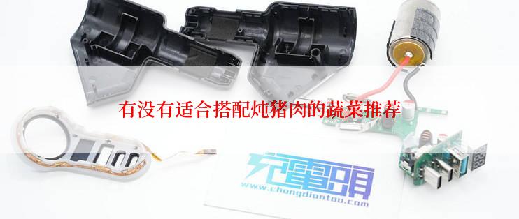 有没有适合搭配炖猪肉的蔬菜推荐