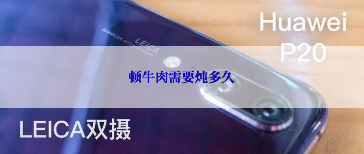 顿牛肉需要炖多久