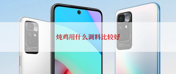 炖鸡用什么调料比较好