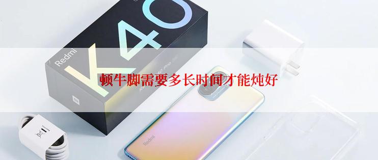 顿牛脚需要多长时间才能炖好