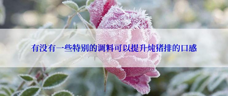 有没有一些特别的调料可以提升炖猪排的口感