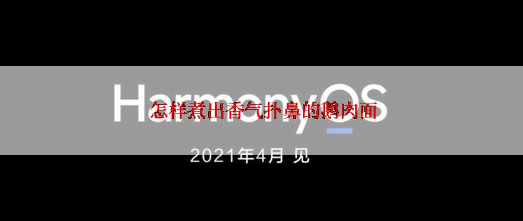  怎样煮出香气扑鼻的鹅肉面