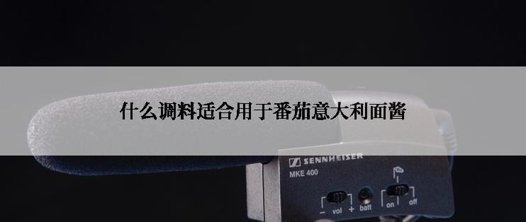 什么调料适合用于番茄意大利面酱