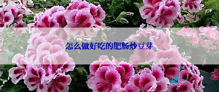 怎么做好吃的肥肠炒豆芽