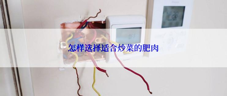 怎样选择适合炒菜的肥肉