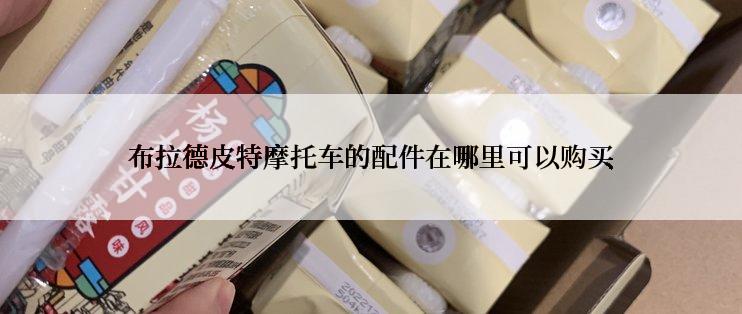 布拉德皮特摩托车的配件在哪里可以购买