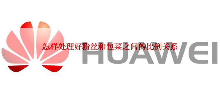 怎样处理好粉丝和包菜之间的比例关系