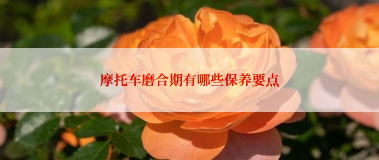 摩托车磨合期有哪些保养要点