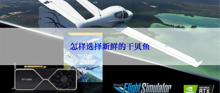 怎样选择新鲜的干贝鱼
